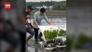 Tanam Padi Pakai Mesin, Gibran Bikin Heboh!
