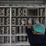 Hanya 34 Dapur MBG yang Layak!