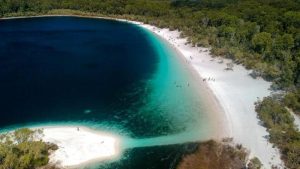 Maut di Pulau Fraser: Backpacker Diterkam Dingo Ganas?