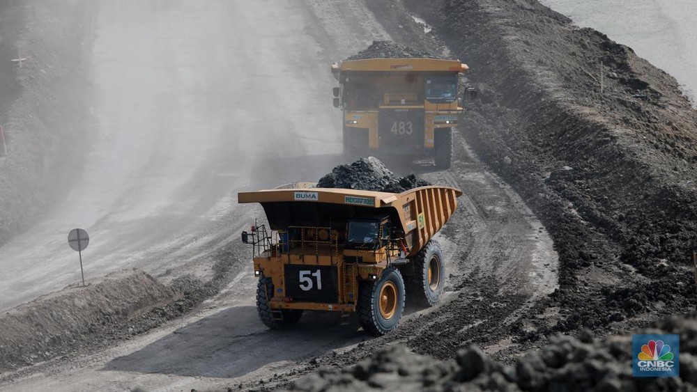Terungkap! Raksasa Batu Bara Kebal Pangkas Kuota Produksi?