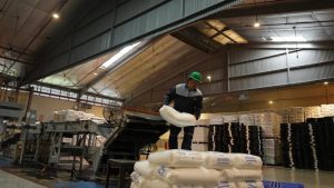 Terkuak! Pertamina Genjot Hilirisasi, Impor Minggat!