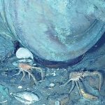 Konten Maut: Influencer Tewas Tragis Usai Santap 'Kepiting Iblis'!