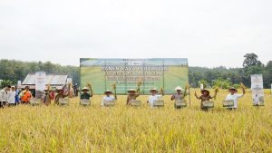 Terobosan! Batu Bara Jadi Pupuk, RI Siap Panen Raya!