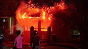 Skandal Kampus Memanas 12 Tersangka Terkuak