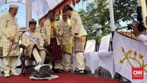 Misteri Injak Kerbau Jokowi Terkuak PDIP Bersuara