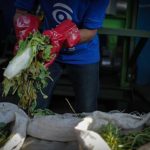 Lahan 40 Hektar Siap Ubah Wajah Sampah