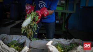 Lahan 40 Hektar Siap Ubah Wajah Sampah