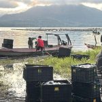 Tragedi Danau Batur 25 Ton Ikan Nila Musnah