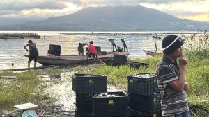Tragedi Danau Batur 25 Ton Ikan Nila Musnah
