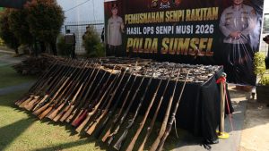 Sumsel Geger Ratusan Senpi Ilegal Tak Berkutik Lagi