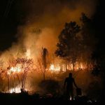 Ancaman Pidana Menanti Pembakar Hutan Sumsel