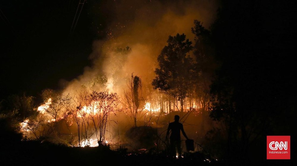 Ancaman Pidana Menanti Pembakar Hutan Sumsel