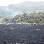 Api Mengamuk di Suryakancana Gunung Gede