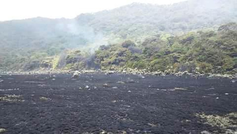 Api Mengamuk di Suryakancana Gunung Gede