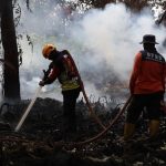 Bupati Kalbar Keluarkan Jurus Jitu Atasi Karhutla