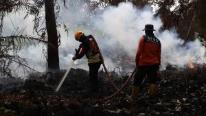 Bupati Kalbar Keluarkan Jurus Jitu Atasi Karhutla