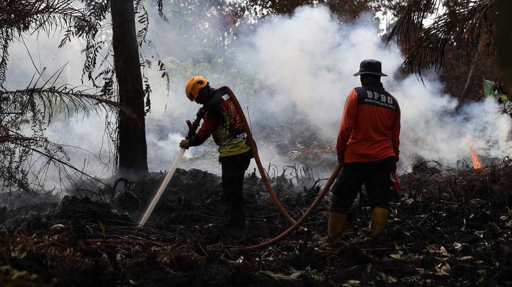 Bupati Kalbar Keluarkan Jurus Jitu Atasi Karhutla
