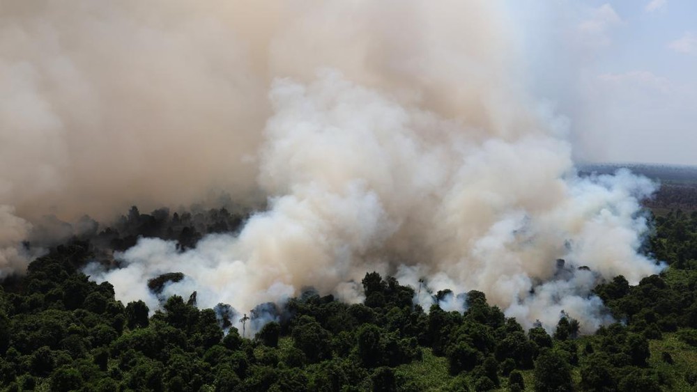 Terungkap Asap Kalbar Belum Hilang Ini Sebabnya