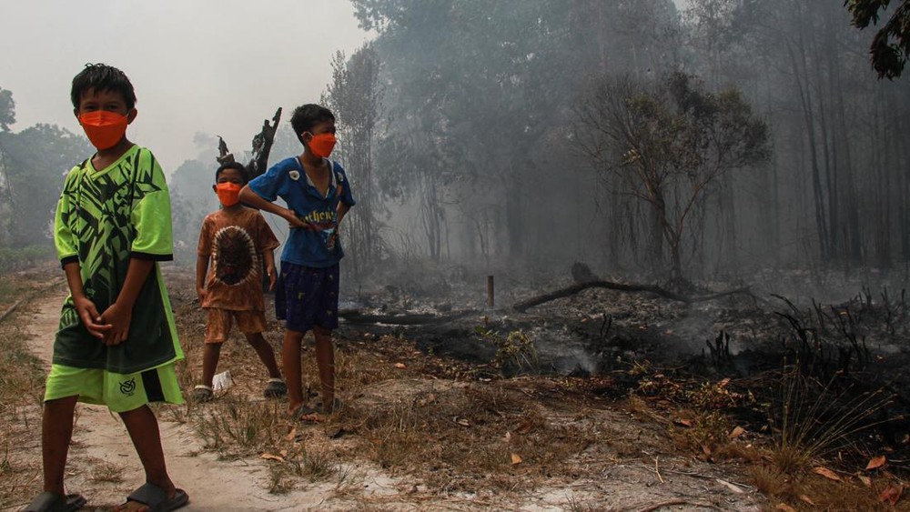 Kalteng Tercekik Asap Penerbangan Pun Batal
