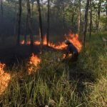 Bangka Tengah Darurat Karhutla Waspada Bencana