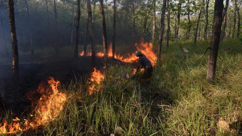 Bangka Tengah Darurat Karhutla Waspada Bencana