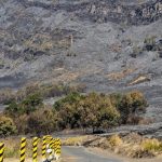 Bromo Berduka Keindahan Savana Hangus