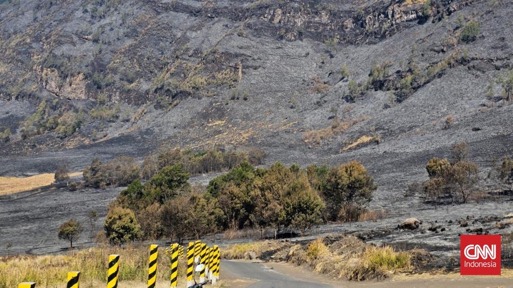 Bromo Berduka Keindahan Savana Hangus