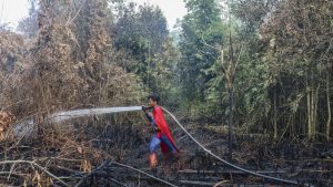 Aksi Nekat Remaja Ini Bikin Geger Lawan Api