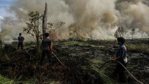 Belasan Dalang Karhutla Kalteng Ditangkap Polisi