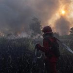 Pahlawan Karhutla Kolaps Usai Berjuang Tanpa Henti