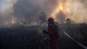 Pahlawan Karhutla Kolaps Usai Berjuang Tanpa Henti