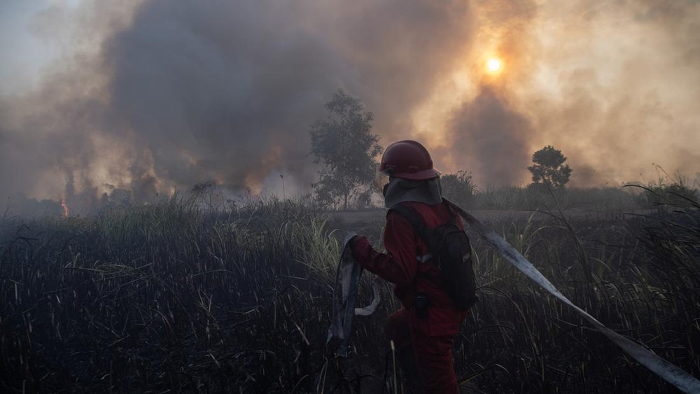 Pahlawan Karhutla Kolaps Usai Berjuang Tanpa Henti