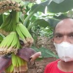 Wartawan Banting Setir Panen Omzet Puluhan Juta