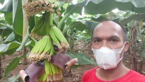 Wartawan Banting Setir Panen Omzet Puluhan Juta