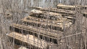 Jejak Masa Lalu Bangkit dari Waduk Gajah Mungkur