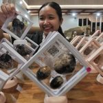Bongkar Rahasia Perlindungan Inovasi Bisnis