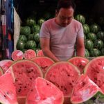 Semangka atau Pepaya Mana yang Lebih Aman