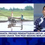 Solusi Gagal Panen Akibat El Nino
