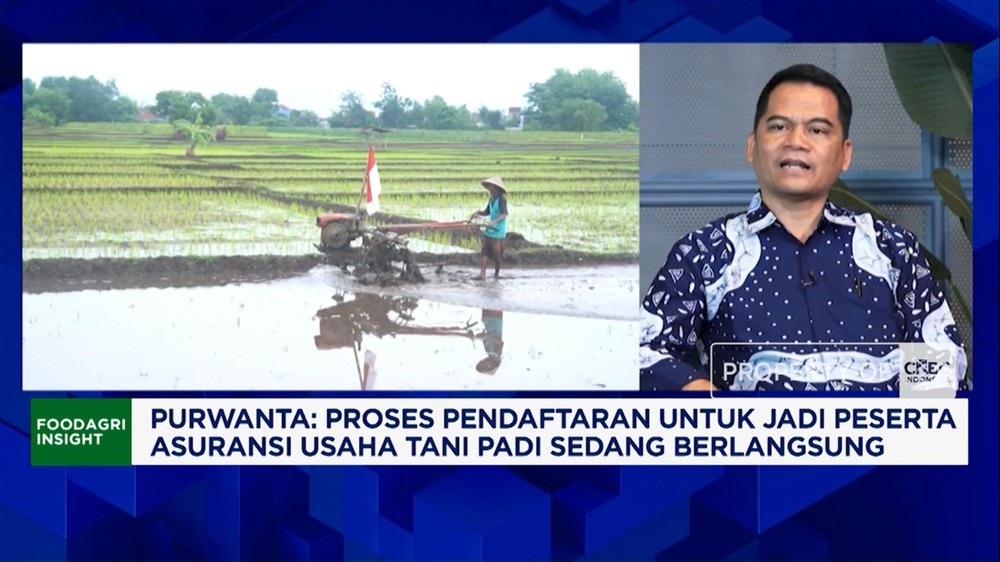 Solusi Gagal Panen Akibat El Nino