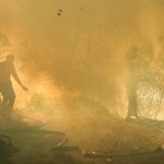 Kawah Ijen Terancam Puluhan Hektare Ludes Dilalap Api