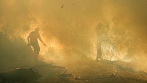 Kawah Ijen Terancam Puluhan Hektare Ludes Dilalap Api