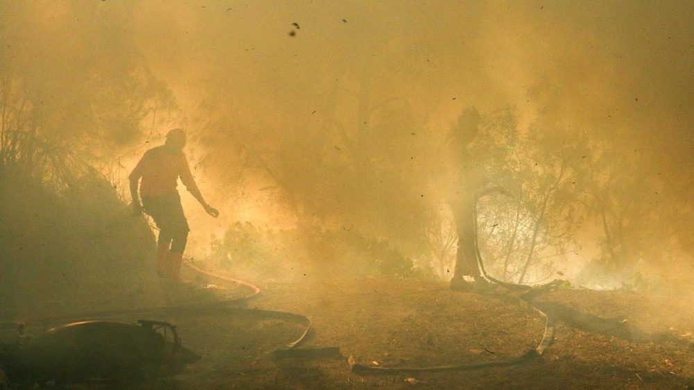 Kawah Ijen Terancam Puluhan Hektare Ludes Dilalap Api