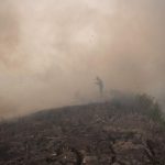 Karhutla Mengganas Ratusan Hektare Lahan Masih Membara
