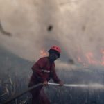 Jambi Berhasil Tekan Karhutla Kunci Ada di Warga