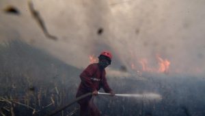Jambi Berhasil Tekan Karhutla Kunci Ada di Warga