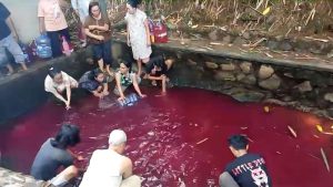 Terkuak Penyebab Air Merah Gunung Sindur Bikin Geger
