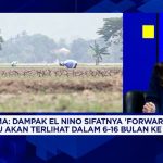 Ancaman El Nino Godzilla Hantui Pangan