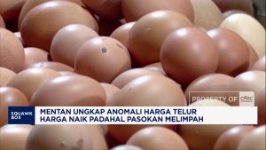 Misteri Harga Telur Naik Saat Stok Melimpah