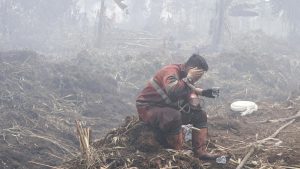 Riau Tercekik Asap 28 Ribu Warga Terkena ISPA