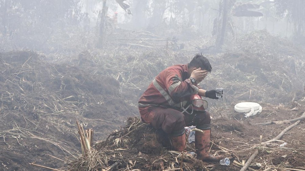 Riau Tercekik Asap 28 Ribu Warga Terkena ISPA